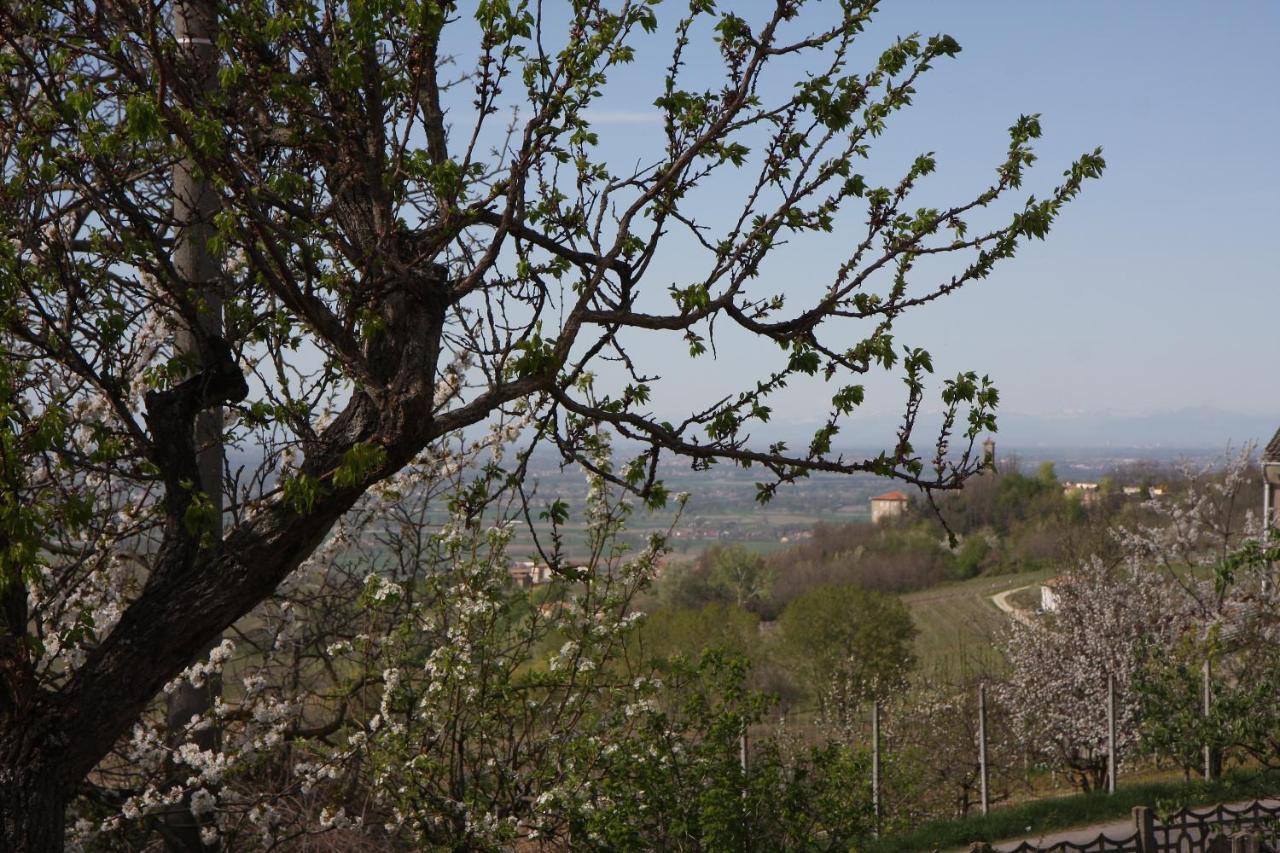 Bed and Breakfast Gli Acini Pietra de' Giorgi Экстерьер фото