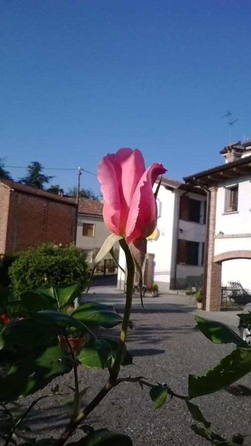 Bed and Breakfast Gli Acini Pietra de' Giorgi Экстерьер фото